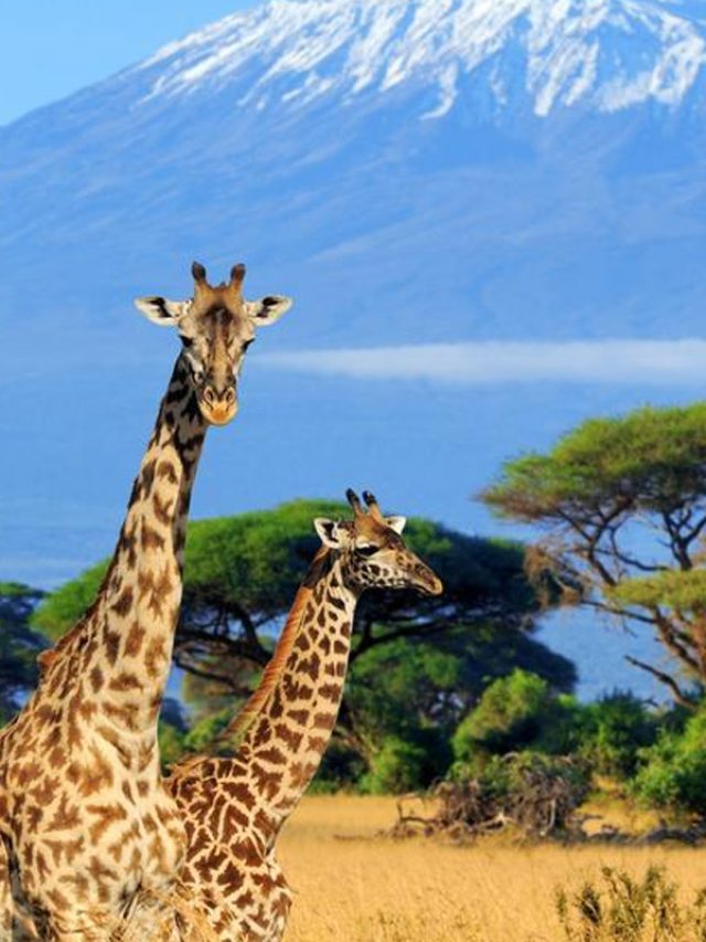 TANZANIA y ZANZIBAR 02/2025